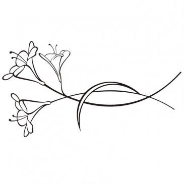 Wandtattoo Lilienstengel