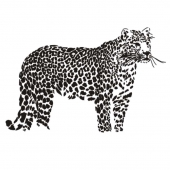 Wandtattoo Leopard im Seitenprofil